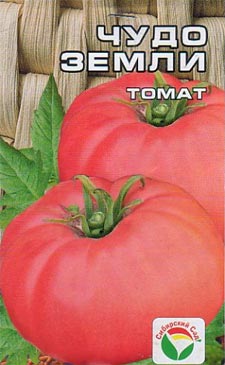 Сорта томатов, описание сортов томатов